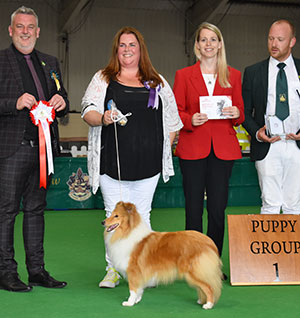 Mrs A A Stafford Rannerdale Showmaster with puppy group judge Mr L Cox, Mr C Briggs (Show Manager) & L Duffy (Royal Canin)