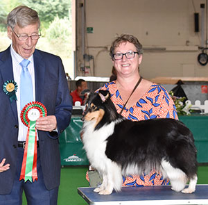 Mrs N Cremer Burraland Midnight Shimmer with spbeg judge Mr J Carter 