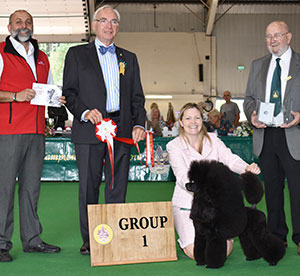 Miss M Harwood Ch Minarets Best Kept Secret with group judge Mr W Browne-Cole, Mr K Jessup (Vice Chairman) & Mr A Bongiovanni (Royal Canin)