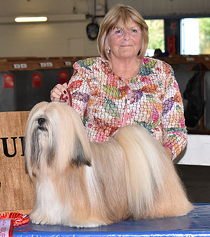 Mrs W Cain Ch Sandauri Showstopper For Kutani (Imp)