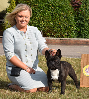 Mr & Mrs D & A Cund & Mr & Mrs A Harrop Ch Chelmbull The Aviator