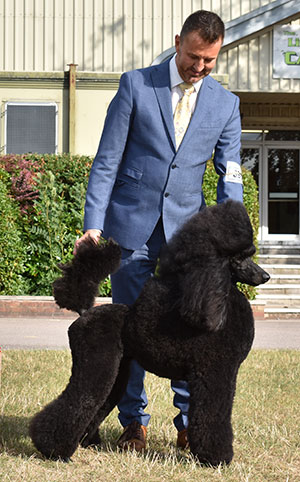 Mrs J R & Mr K P Harwood & Mr P Langdon Atastar Rhythm Is A Dancer At Alusio