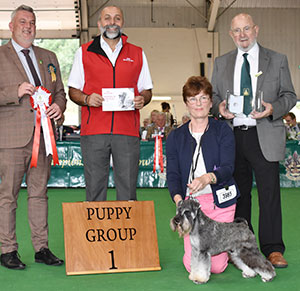 Mrs E J Longdin Wellingley Won Night Stand with puppy group judge Mr L Cox, Mr K Jessup (Vice Chairman) & Mr A Bongiovanni (Royal Canin)