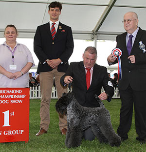 Mr P R Davies Ch Millsblu Living The Dream At Perrisblu with group judge Mr A Norcross, Mr B Hanney (Committee) & A Blackmore (Natural Instinct)