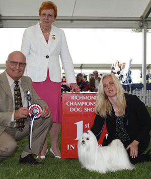 Miss S Jackson & Mrs A Wylie Ch Benatone Designer Label with group judge Mr B Claydon & Mrs A Bradley (Vice Chairman)