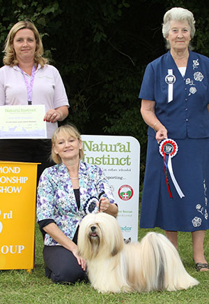 Mr D J & Mrs J Lock & Mrs W Cain Littondale Replay Kutani with group judge Mrs S L Jakeman & S Kinge (Natural Instinct)