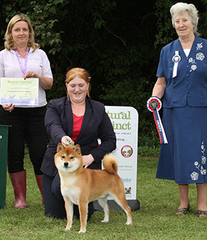 Miss C Roskell & Miss M Dunhill Hall Ch Vormund Jean Paul Gaultier JW Sh.CM with group judge Mrs S L Jakeman & S Kinge (Natural Instinct) 