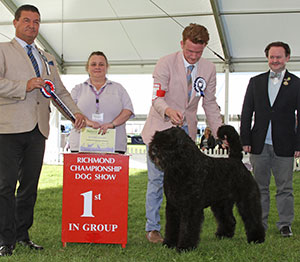 Mrs F Lambert Liskport Lord Of The Rings (ai) with group judge Mr P Harding, Mr R Beall (Committee) & A Blackmore (Natural Instinct)