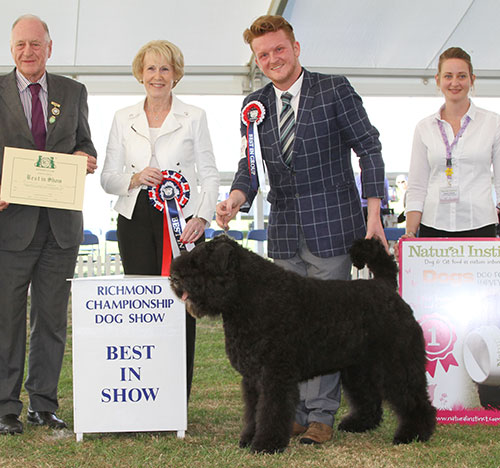 Mrs F Lambert Ch Liskport Lord Of The Rings (ai) with BIS judge Mrs A Macdonald, Mr N Bryce-Smith (Chairman) & T Linwood (Natural Instincts) 