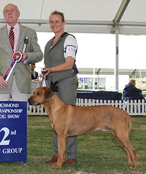 Mrs K Barnard Ch Jockular Lord Leonti At Tsjakka JW (Imp) with group judge Mr J Robertson 