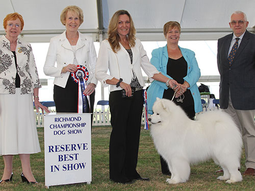 Mrs A Kirkwood & Miss N J Carruthers Ch Vandreem Imperial Cruz with BIS judge Mrs A Macdonald, Dr R James (Secretary) & Mrs A Bradley (Vice Chairman) 