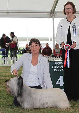 Mrs J Curtis Ch Brakemill Barnum Sh.CM with group judge Susan Kealy