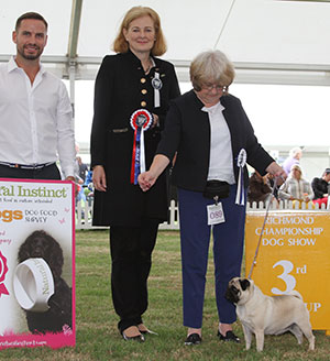 Mr & Mrs E A & P J Johnson Tremorvah Cornish Charm At Popinjay with group judge Annukka Paloheimo & Mr A Smallman (Natural Instincts)