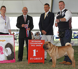 Mr & Mrs A D & H K Morris Ch Ashowai Ready To Rock JW Sh.CM with group judge Mr G Corish, Mr D Clarke (Chief Steward) & T Linwood (Natural Instincts)