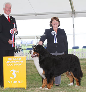 Mrs B Mair, Mrs C Hartley-Mair & Mr G Dybdall Ch Meadowpark High Class with group judge with group judge Mr S Mallard