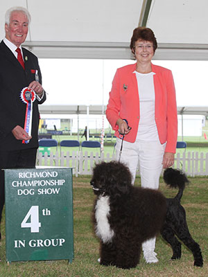 Mrs C Thompson-Morgan & Mr E Morgan Belleville Anjo Negro with group judge Mr S Mallard