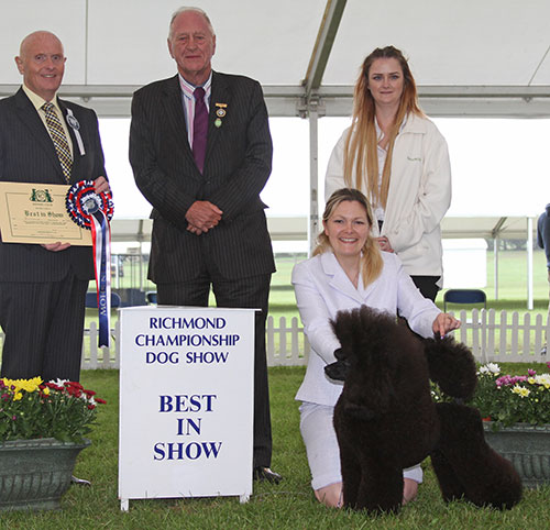 Miss M Harwood Ch Minarets Best Kept Secret with BIS judge Mr D Guy, Mr N Bryce-Smith (Chairman) & L Green (Natural Instinct) 