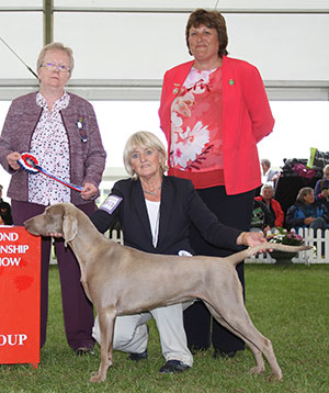 Mr & Mrs S A Hollings Sh Ch Gunalt Perception with group judge Mrs A Moss & Mrs H Male (Treasurer)