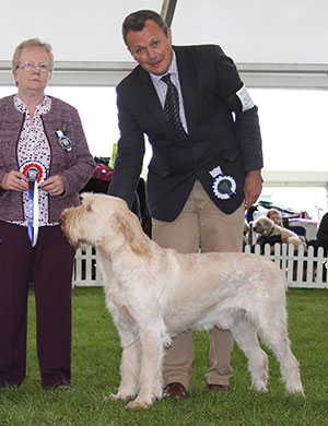 Mrs & Miss S & S Knowles & Miss I Glen Sh Ch Ir Ch Afterglow Hashtag Scandal At Bessalone with group judge Mrs A Moss