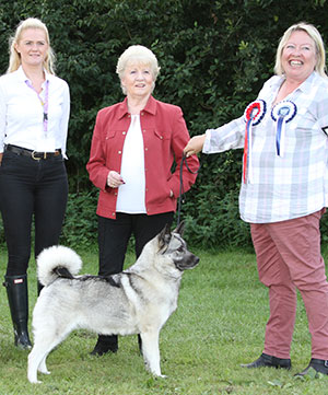 Mrs P H Clark Ch Aftonlee Ayrlie Winds with E Cooper (Natural Instinct)