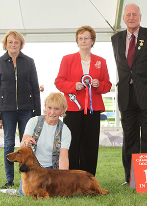 Mrs C Dare Swansford Lionellador Darsoms with puppy group judge Mrs S M Marshall, Mr N Bryce-Smith (Chairman) & J Buttle (Plush Puppy) 