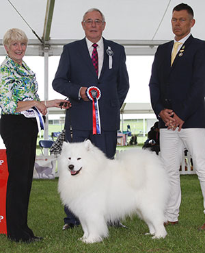 Mrs V Freer & Mrs S Smith Ch Nikara Diamond Dancer JW with group judge Mr G Hill & Mr D Clarke (Chief Steward)