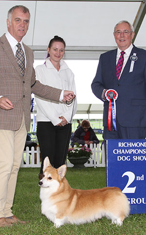 Mr K Dover & Mr L Saether Ch Pemcader Thunderball (Nbt) with group judge Mr G Hill & T Linwood (Natural Instinct)