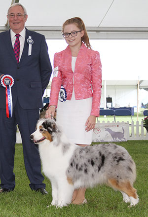 Mr N & Mrs A Allan Ch Allmark Vanity Fayre with group judge Mr G Hill 