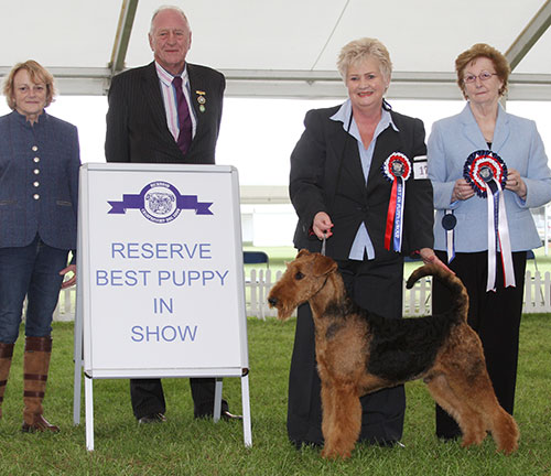 Mrs L Lee Stargus Allegro with BPIS judge Mrs S M Marshall, Mr N Bryce-Smith (Chairman) & J Buttle (Plush Puppy) 