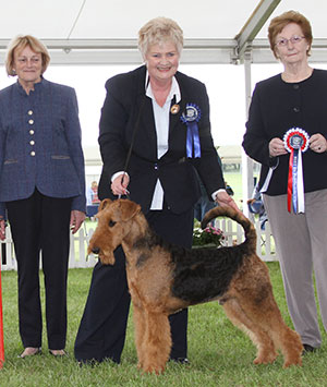 Mrs L Lee Stargus Allegro with puppy group judge Mrs S M Marshall & J Buttle (Plush Puppy) 