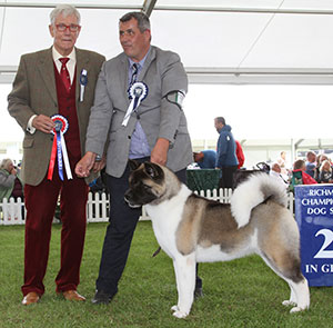 Mr N Fiddes & Ms F Bevis Stecals Grace Kelly with group judge Mr S Wilberg