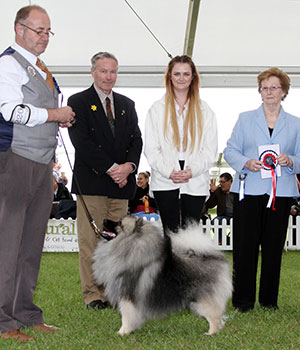 Messers & Mrs Mathews & Mrs Randsey Szaryk Dutch Bargemaster With Valindale with puppy group judge Mrs S M Marshall & L Green (Natural Instinct)