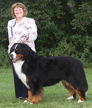 Mrs C Hartley-Mair & Mr G Dybdall Ch Meadowpark High Class