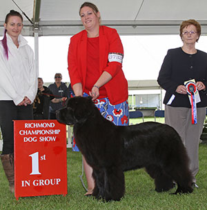 Mr & Mrs G & T Coldwell & Misses E & F Coldwell Zentaur Ain't No Thang with puppy group judge Mrs S M Marshall & T Linwood (Natural Instinct)