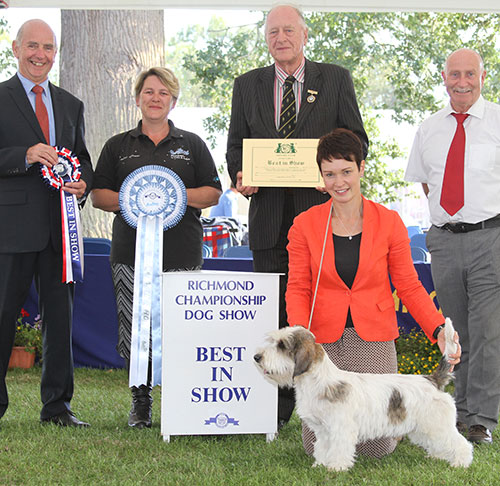 Mrs S Robertson & Mrs W Doherty Ch Soletrader Magic Mike with BIS judge Mr G Corish, Mr N Bryce-Smith (Chairman) & Mr P Galvin