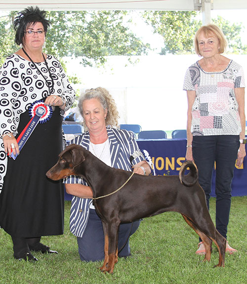 Mrs S Mycroft Sant Kreal Jewel For Supeta with BPIS judge Mrs M M Waddell & J Buttle (Plush Puppy UK)