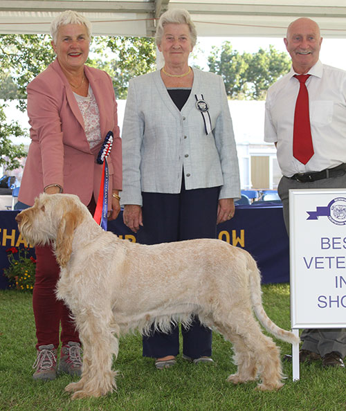 Mrs N R Fleming Sh Ch Norsk Ch Dk Int Ch Redrue Cherriecola To Cha with BVIS judge Mrs S M Jakeman & Mr P Galvin (Royal Canin)