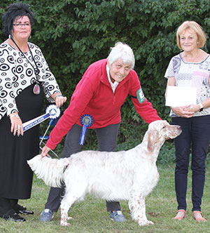 Mr & Mrs A Grimsdell Tattersett Dark Honey with puupy group judge Mrs M M Waddell & J Buttle (Plush Puppy UK)