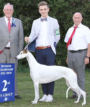 Mrs C Wueger Multi Ch Fortheringhay's Awakening Of Love with group judge Mr G Hill & Mr P Galvin (Royal Canin) 