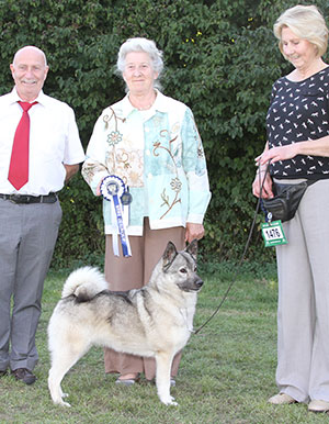 Mrs J E Cowper Ch Rothenborg Leaha with veteran group judge Mrs S M Jakeman & Mr P Galvin (Royal Canin) 