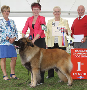 Bermingham, Kendrick, & Almeida Port Ch Multi Ch Odi Da Casa De Loas Em Bamcwt Ew' with group judge Mrs M Wildman & Mr P Galvin (Royal Canin) 