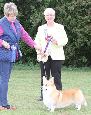 Mrs H & R Wyer Cottivy Skyfall with group judge Mrs M Wildman