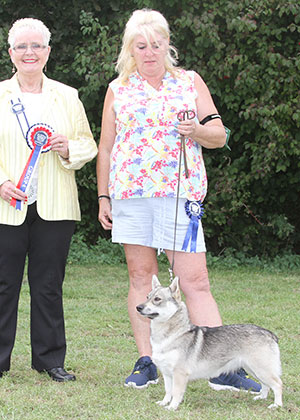 Mesdames J Day, A West & R Peacock-Jackson Starvon Binit Sinit Dunit With Kirkholme with group judge Mrs M Wildman 