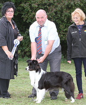 Mr & Mrs P & Y Simmons & Mrs D Inverno Sashdan Never Ending Story (ai) with puppy group judge Mrs M M Waddell & J Buttle (Plush Puppy UK)