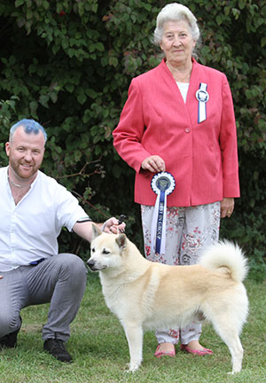 Mr N Hood & Mr J Collins Ch Arnscroft Di Nah Sawr Us Rex Sh.CM with veteran group judge Mrs S M Jakeman