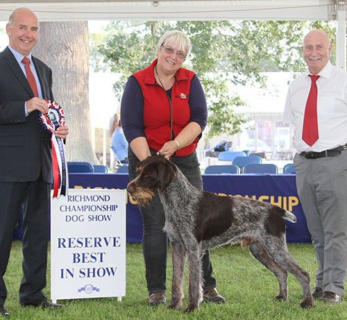 Miss S Pinkerton Sh Ch NL Ch Bareve Bontebokskraal W15 W17 with BIS judge Mr G Corish & Mr P Galvin (Royal Canin)