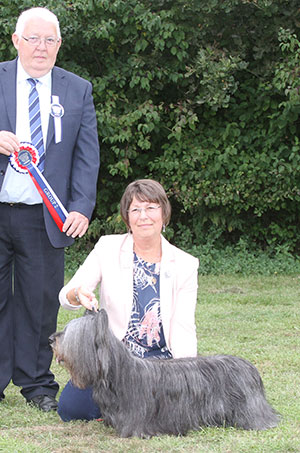 Mrs J Curtis Ch Brakemill Briar Rose with group judge Mr M Armstrong 
