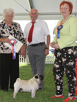 Ms H G Linnett Conquell At A Glance JW with group judge Miss M Mallows & Mr P Galvin (Royal Canin) 