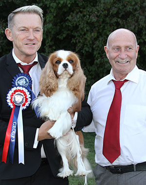 Messrs M & M Levy & Sedgwick Pascavale Tommy with Mr P Galvin (Royal Canin)