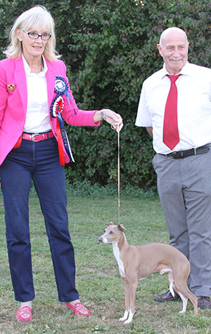 Miss H M Lister Ch Florita Tallento with Mr P Galvin (Royal Canin)